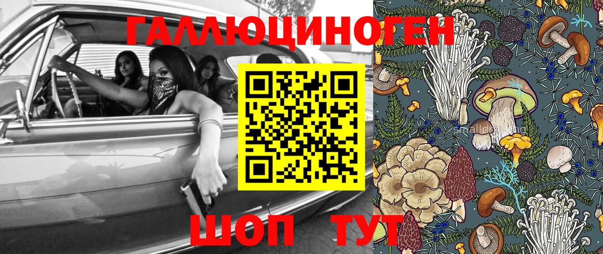 Псилоцибиновые грибы Psilocybine cubensis  Вход с VPN  Галлюциногенные грибы GOLDEN TEACHER  Арзамас 