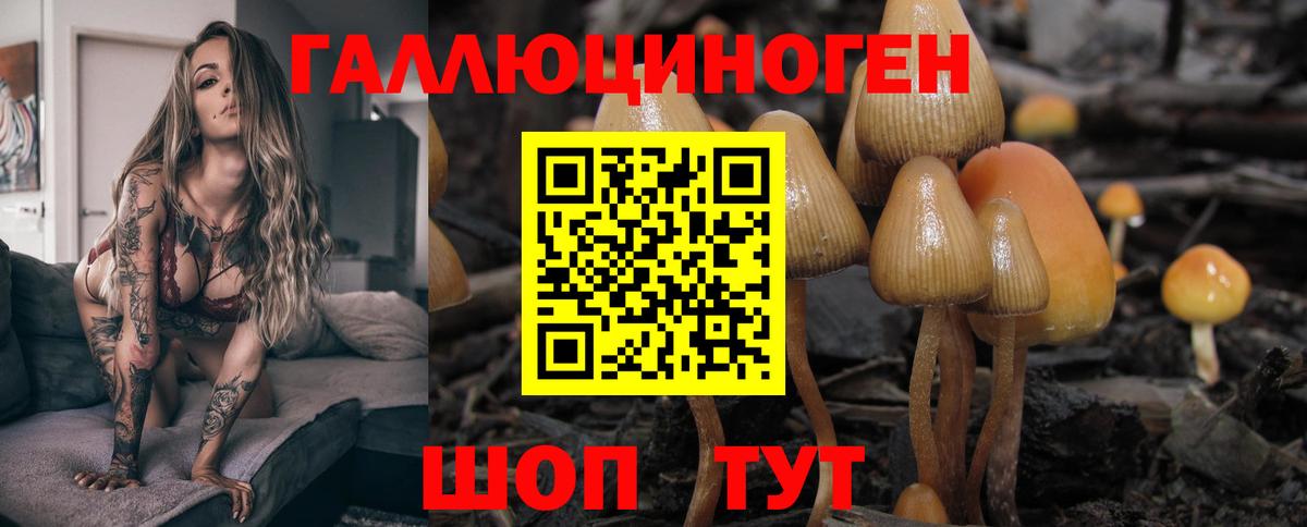 Псилоцибиновые грибы мухоморы Арзамас